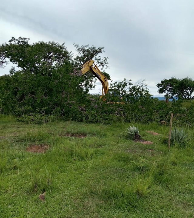 WhatsApp Image 2026-03-30 at 09.52.03 (1)