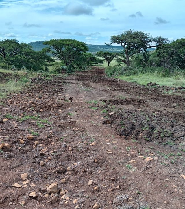 WhatsApp Image 2026-03-30 at 09.52.05 (3)