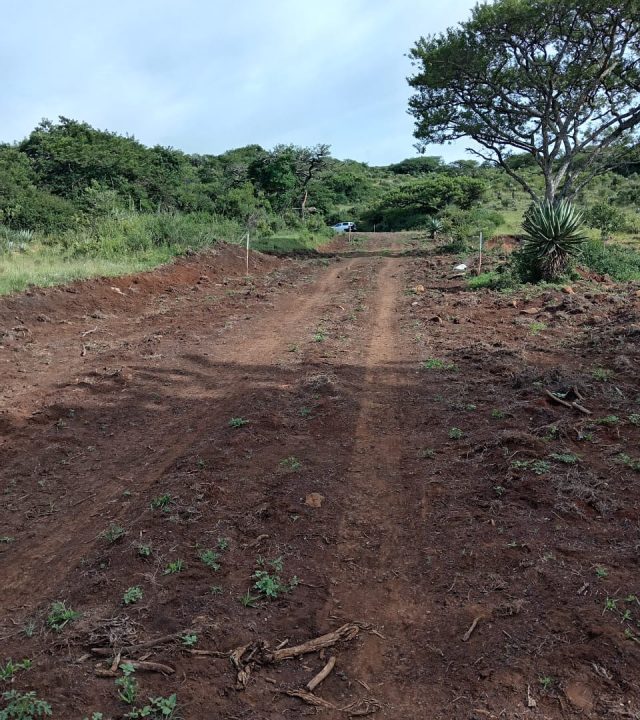 WhatsApp Image 2026-03-30 at 09.52.06 (1)