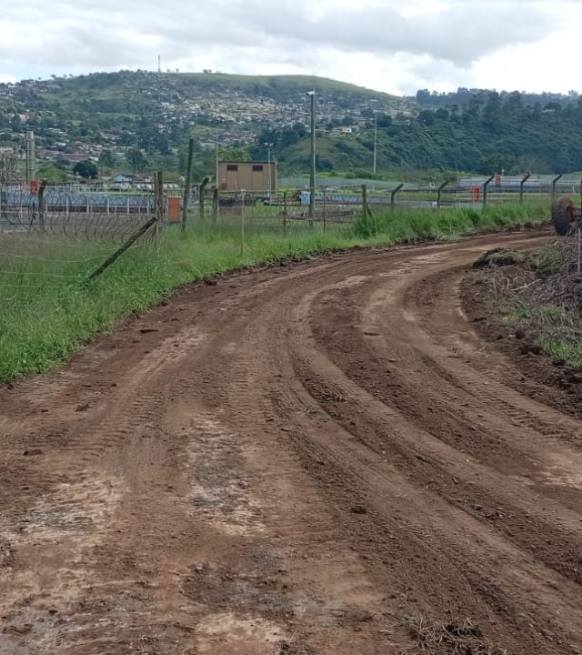 WhatsApp Image 2026-05-19 at 14.07.06 (1)